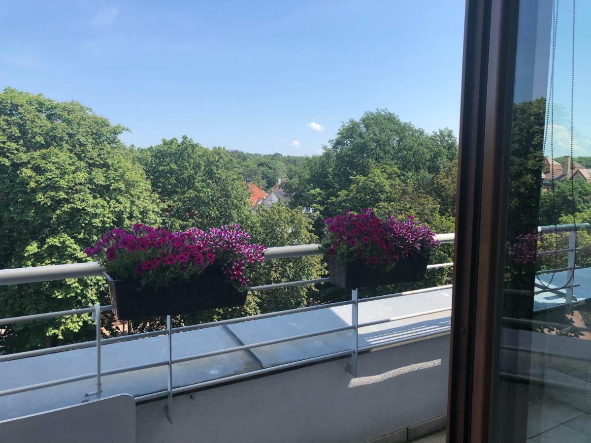 Apartment Platan *